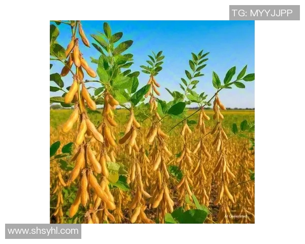 五谷丰登与农耕文化的传承探索：从稻麦豆薯到现代农业的变革与挑战